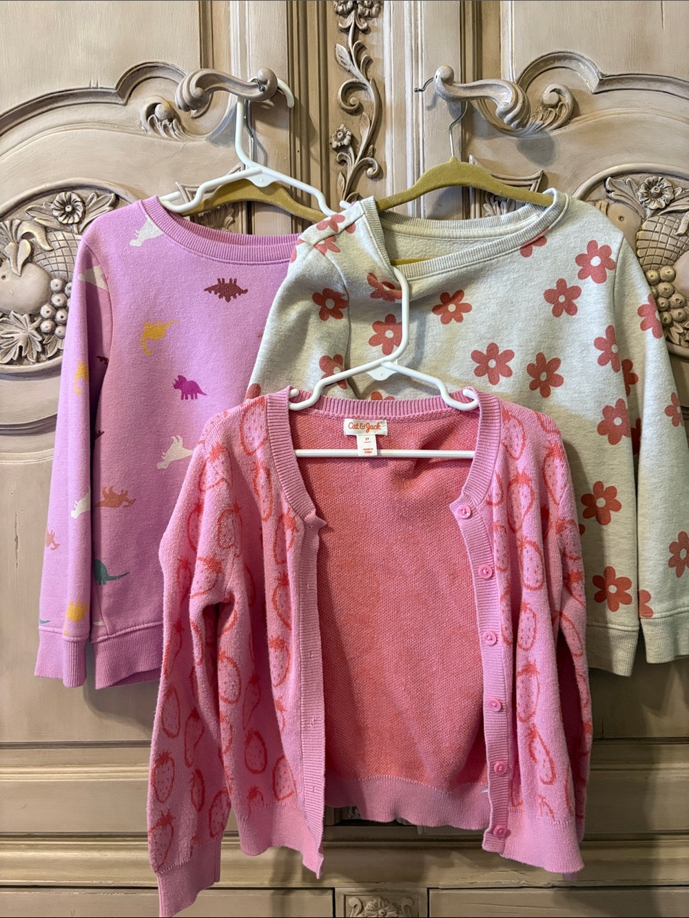 Cat & Jack Pink & Cream Girls' Top Set with Floral & Dino Prints